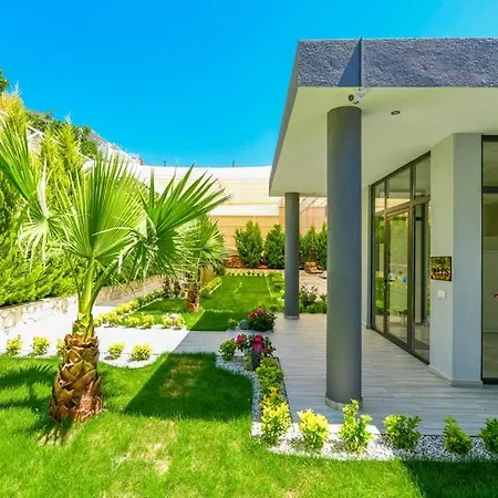 Ali's Kalkan